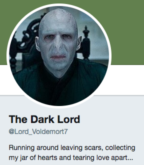 Funny Twitter bio from @Lord_Voldemort7